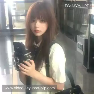 董治鹤